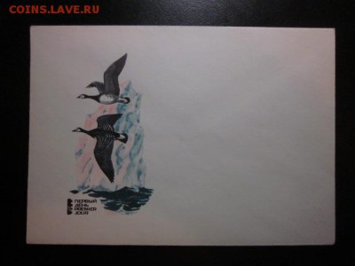 открытки разной тематики. - IMG_0649.JPG