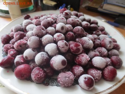 делает - прямо сейчас !!! - IMG_3806.JPG