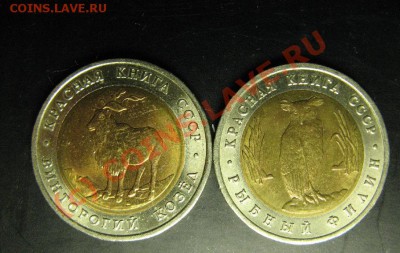 КРАСНАЯ КНИГА 1991г. ДО 11.07.2010г. 22-00 - 526.JPG