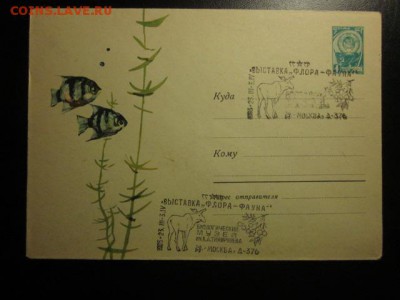 открытки разной тематики. - IMG_0686.JPG