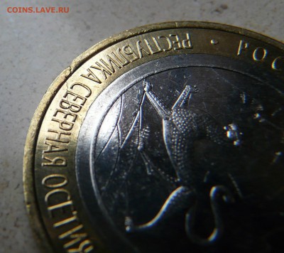 Алания - брак заготовки кольца, раскол до 4.06.2015 22-00 мс - 2.JPG
