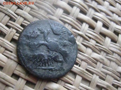 Полушка 1747г. До 5.06.2015г. - 5 и 6 007.JPG