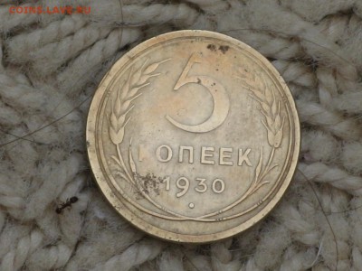 5 копеек 1930 на оценку - 2015-05-24 19-09-59.JPG