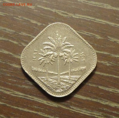 ИРАК - КВАДРАТНАЯ пальмы до 5.06, 22.00 - Ирак квадратная Пальмы ФАО