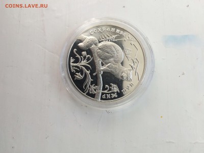 3 рубля 1994 соболь сох.наш мир до 31.05 - IMG_5559.JPG