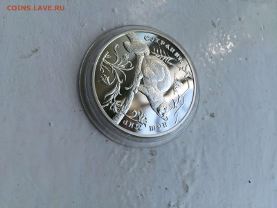 3 рубля 1994 соболь сох.наш мир до 31.05 - IMG_5564.JPG