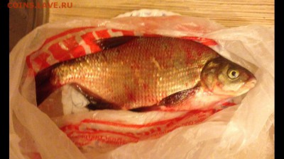 делает - прямо сейчас !!! - image