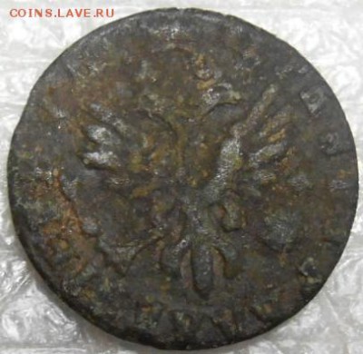 полушка 1714 г - DSCN3256.JPG