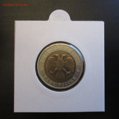 КК Медведь, до 03.06 - IMG_0155.JPG