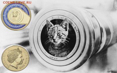 Монеты с Корабликами - кот