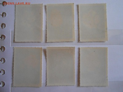 Польша, цветы, полная серия 1964 год, до 06.06.2015 - DSCN8525.JPG