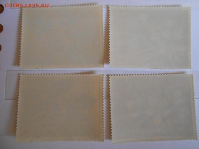 Польша, цветы, большой формат, до 06.06.2015 - DSCN8529.JPG