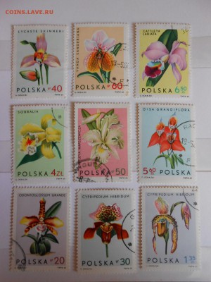 Польша, орхидеи, 1965 год, полная серия, до 06.06.2015 - DSCN8530.JPG
