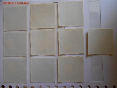 Польша, цветы, 10 разных, большой формат, до 06.06.2015 - DSCN8532.JPG