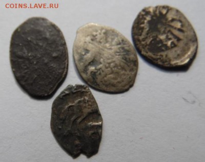 4 чешуйки окончание 06.06.2015 - 051.JPG