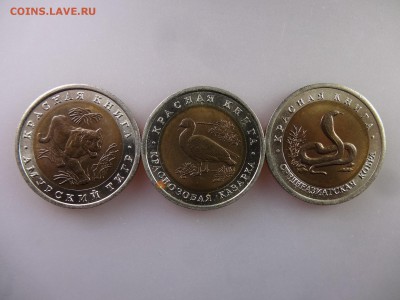 Красная книга 10 рублей 1992 (3шт) до 04.06.15 22:00 МСК - DSC07870.JPG
