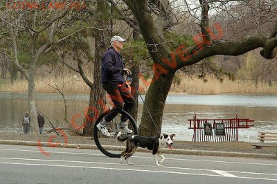 Первая нумизматическая велопьянка!))))))))))) - uni_dog