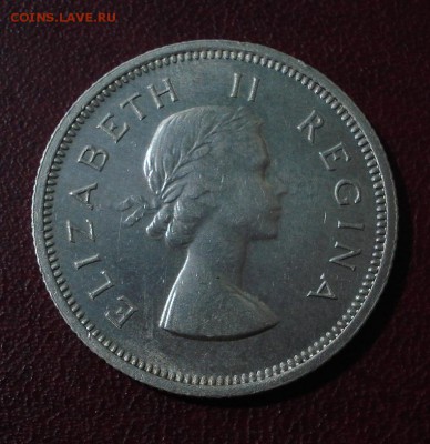 Британская Южная Африка 1 шиллинг 1956 Елизавета II - 2.JPG