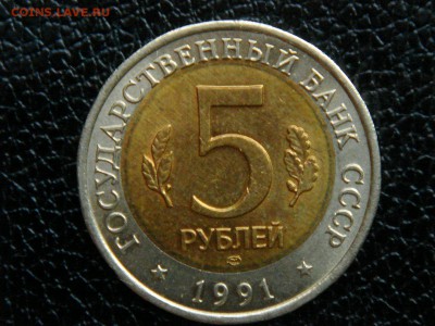 К винторогий козел, смешение вставки. - DSC09929.JPG