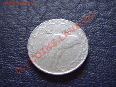 Алжир 2 динара 2003 .Жираф.  до 14.07 в 21.00 М - LPIC6898.JPG