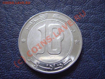 Алжир 10 динаров 2008 .Птица. Биметал.  до 14.07 в 21.00 М - LPIC6903.JPG
