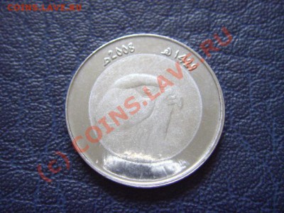 Алжир 10 динаров 2008 .Птица. Биметал.  до 14.07 в 21.00 М - LPIC6902.JPG