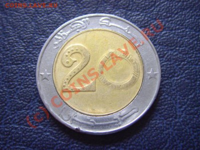 Алжир 20 динаров 2005 .Лев. Биметал.  до 14.07 в 21.00 М - LPIC6905.JPG