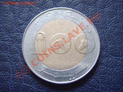 Алжир 100 динаров 2007 Лошадь. Биметал.  до 14.07 в 21.00 М - LPIC6909.JPG