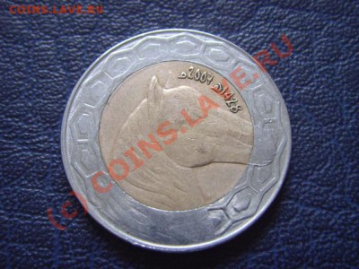 Алжир 100 динаров 2007 Лошадь. Биметал.  до 14.07 в 21.00 М - LPIC6908.JPG