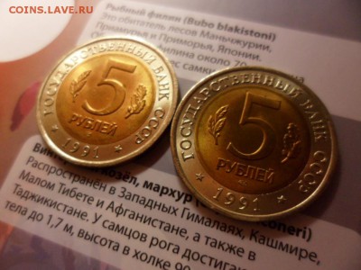 Красная книга 1991 Филин и Козёл UNC (альбом) 5.06.15 22.00 - SAM_3625.JPG