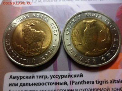 Красная книга 1991 Филин и Козёл UNC (альбом) 5.06.15 22.00 - SAM_3626.JPG