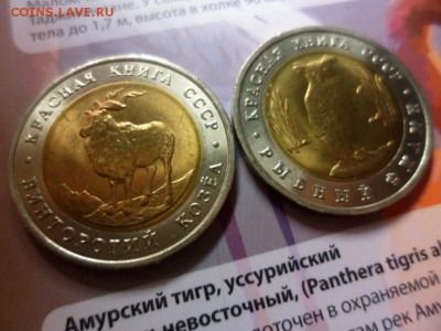 Красная книга 1991 Филин и Козёл UNC (альбом) 5.06.15 22.00 - SAM_3627.JPG