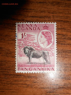 Кения-Уганда-Танганьика, 1954, Лев, до 07.06.2015 - DSCN8550.JPG