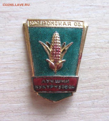 Знак - Лучший Кукурузовод Костромская об. - Эмаль - IMG_214411