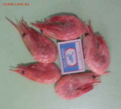 Закуски к пиву. - 20150516_182040-1