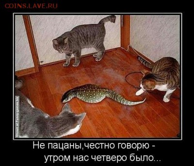 Демотиваторы - image-89e5ef9a2723d973ca95ca7feb654662212e197888b95ac1e4d41441855fbb94-V