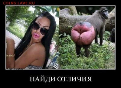 Демотиваторы - FB_IMG_1432738235032