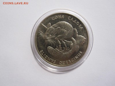 2 гривны Соня садовая 1999 04.06 22:00 - IMG_6721.JPG