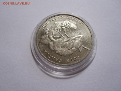 2 гривны Соня садовая 1999 04.06 22:00 - IMG_6720.JPG