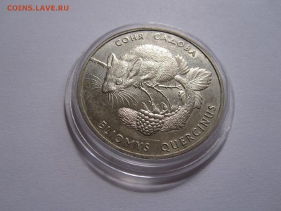 2 гривны Соня садовая 1999 04.06 22:00 - IMG_6719.JPG