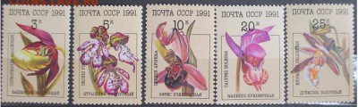 СССР 1991. Орхидеи - 75.JPG
