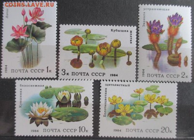 СССР 1984. Водные растения - 78.JPG