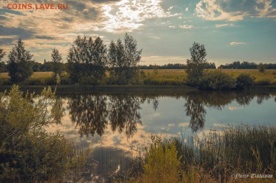 ФОТО - просто фото. Те что получились удачными. - _DSC6234.JPG