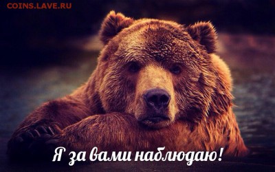делает - прямо сейчас !!! - image