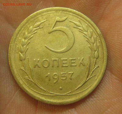 5 копеек 1957 г. (AZ-1434)----------- 09.06.15, в 22.10 - IMG_3583.JPG