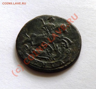 Денга 1786 км до 13.07 в 22-00 по мск. - P1010996.JPG