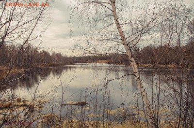 ФОТО - просто фото. Те что получились удачными. - DSC_4417.JPG