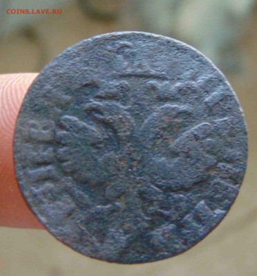 Денга 1704г. До 7.06 в 22.00 мск - 1