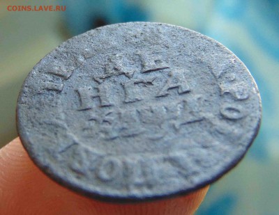 Денга 1704г. До 7.06 в 22.00 мск - 3