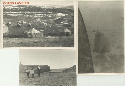 Оценка фотографий экспедиций - 4